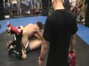 N. Iannuzzi vs. R. Donnelly N. Iannuzzi vs. R. Donnelly