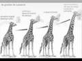 Lamarck