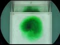 Experiment IX: Cylinder Collapse