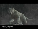 Resident Evil 4 - El Gigante