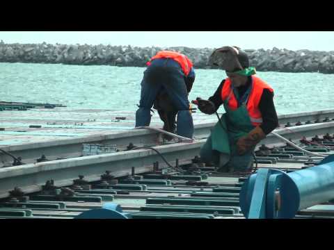 Visita ai cantieri del Mose