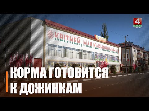 Последние приготовления: скоро Корма начнет встречать гостей «Дожинок–2024» видео