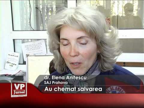 Au chemat salvarea