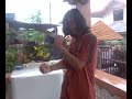 janung dance, Budots