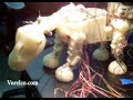 Pleo, the early days. Clip 08