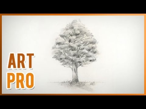 video-linktoworks-How to draw a realistic tree step by step - YouTube