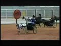 Beua- Nationals