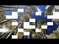 Daniel Carmel - Who am I
