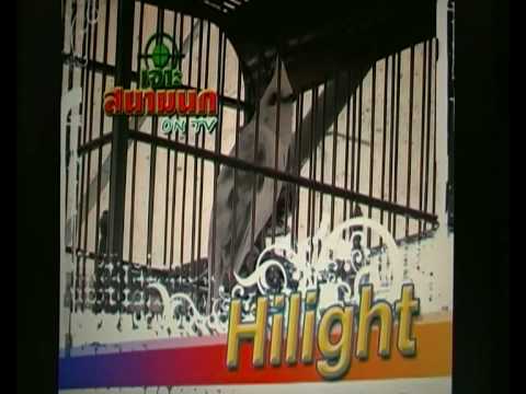 รายการเจาะสนามนก Hilight เทปแรก