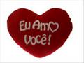 APRENDI O SIGNIFICADO DA VIDA COM VOCE