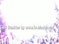 videos de David Guetta, Martin Solveig, Laidback Luke, Richie Hawtin au Festival INOX 2009 Toulouse