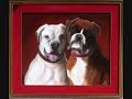 Dog\ Dog\