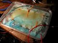 Hydro cell -electrolysis example