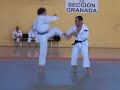 shorinji kempo   embu granada 08