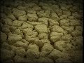 king_59_รักในหลวง รักชาติไทย.flv