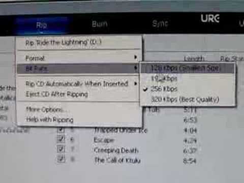 how to re-rip cd in windows media player