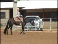 Addicting--- He sells, Mar.28, Twin Cities Horse Sale, Mn.