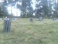 PAINTBALL BOIRO