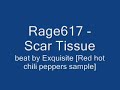Rage617 (HusH) - Scar Tissue