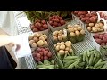 Cabbage Soup (intro)