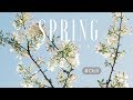Ikson - Spring