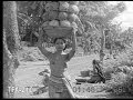 Bali-Paradise-Isle-1