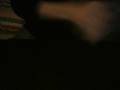 videos de Kai's card magic