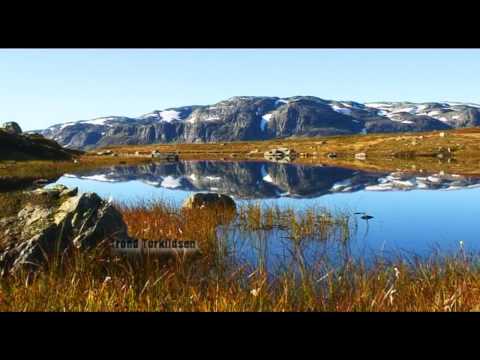 Pesca con moscas en Noruega 0 Pesca con moscas en Noruega