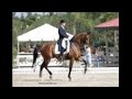 HORSE CONTEST-BEST ACHIEVEMENT OF 2008! [[CLOSED]]