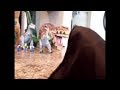 A Dinosaur Story part 17/25