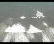 500 Feet over the Florida Coast 