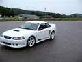 Saleen Mustang Roasting Tires View Video