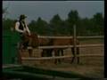 The Tumbleweeds Don't Cry Blue Country From Holland 1979