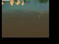How to get under SW