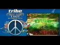 videos de TRibe 8 anos.wmv