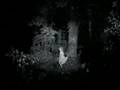 Die Fantastischen Vier Sommerregen Official Music Video and Lyrics