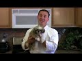 Dog-Food-Recipes