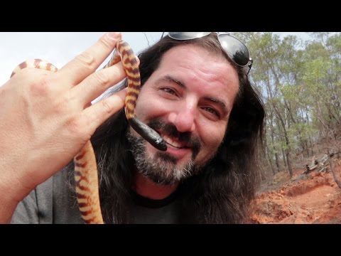 YouTube reptile video