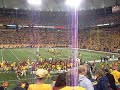 Wolverines