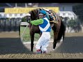 Corse cavalli:Grandi Cavalli, Barbaro, Electrocutionist