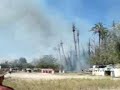 Arde el palmeral de Santiago y Zaraiche 4 de 4
