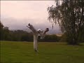 Kyokushin Fights - Fighter in the wind