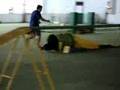 Salchicha video