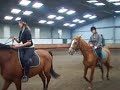 cours d'equitation