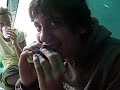 Milanesa�s pupi