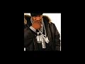 dont touch me now by busta