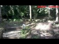 Mata do Passarinho reabre para o p�blico em agosto