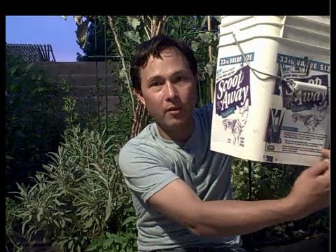 how to fertilize asparagus organically