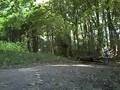 Woods