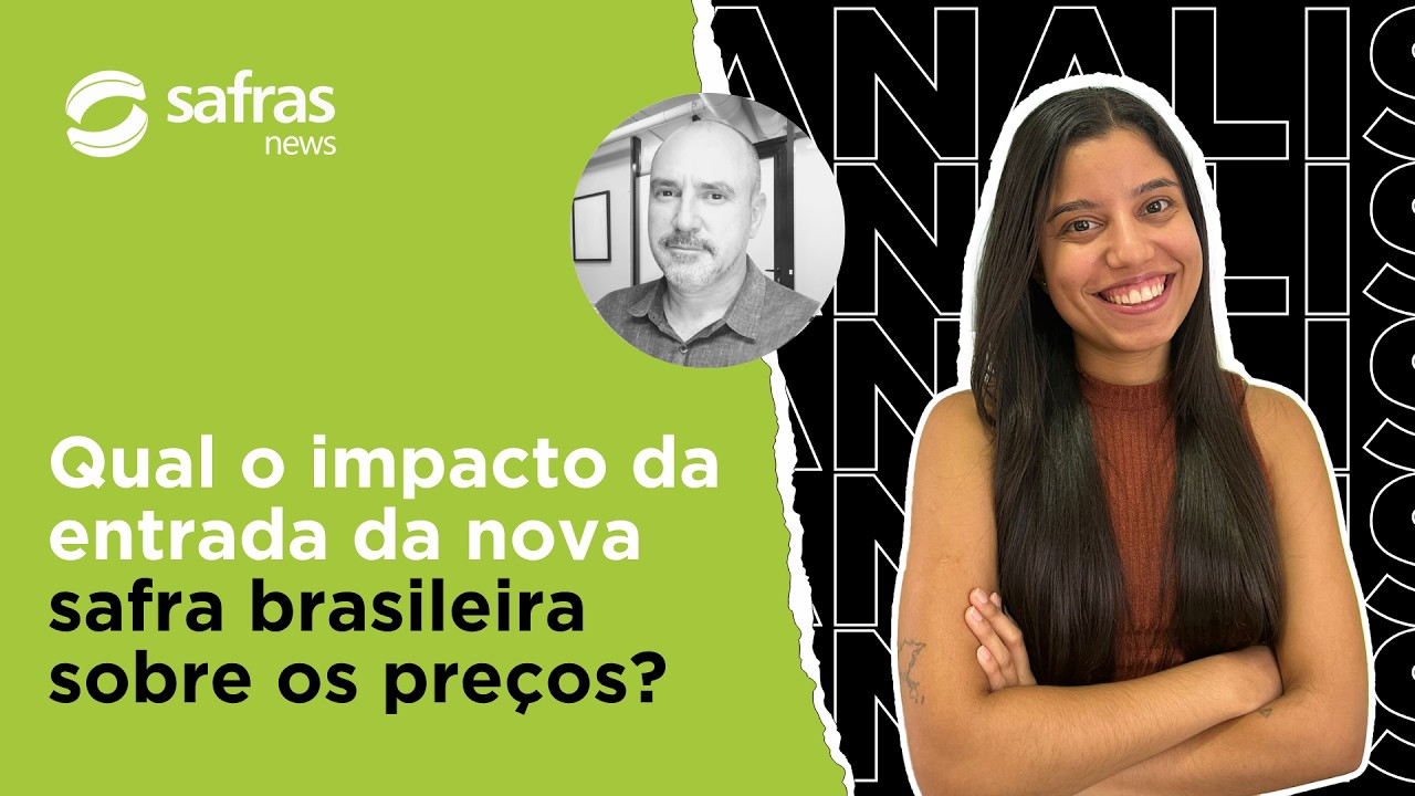 Analista comenta perspectivas para nova safra brasileira de algodão e avanço do plantio nos EUA
